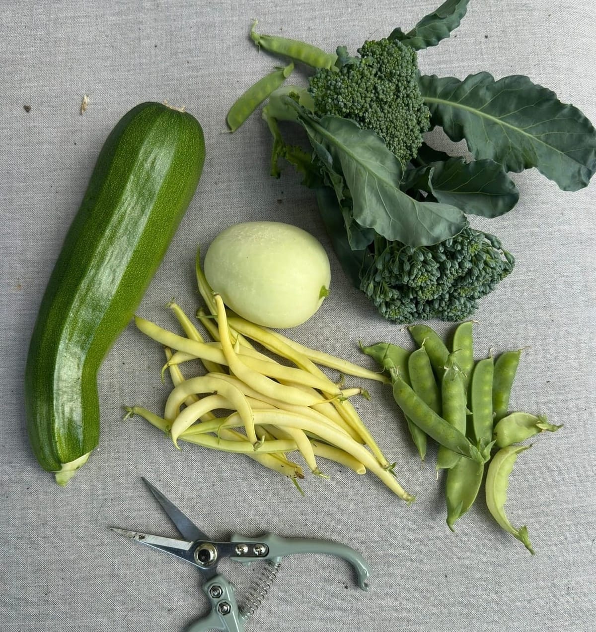 June Meal Plan 01: Bush Beans, Zucchini, & Cucumbers