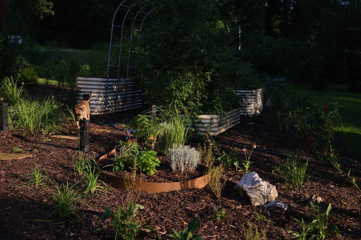 Garden Activity Log 01 : September 2025